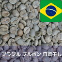 コーヒー生豆 ブラジル ブルボン 日蔭干し Qグレード 