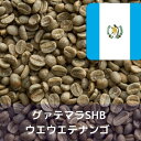 コーヒー生豆 グァテマラSHB ウエウエテナンゴ 1kg 送料無料 コーヒー豆 自家焙煎 ギフト お中元 ドリップ あす楽