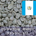 コーヒー生豆 グァテマラSHB ウエウエテナンゴ ファンシー Qグレード 10kg 送料無料 コーヒー豆 自家焙煎 ギフト お中元 ドリップ