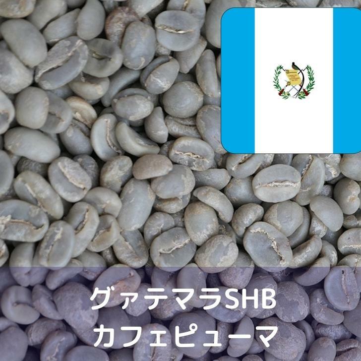 コーヒー生豆 グァテマラSHB カフェピューマ Qグレード 1kg 送料無料 コーヒー豆 自家焙煎 ギフト お中元 ドリップ あす楽