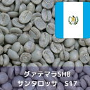 コーヒー生豆 グァテマラSHB サンタロッサ S17 Qグレード 1kg 送料無料 コーヒー豆 自家焙煎 ギフト お中元 ドリップ あす楽