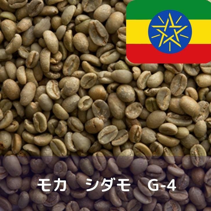 コーヒー生豆 モカ シダモ G-4 1kg 送料無料 コーヒー豆 自家焙煎 ギフト お中元 ドリップ あす楽