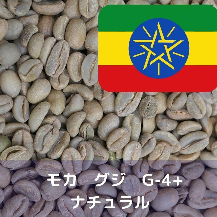 コーヒー生豆 モカ グジ G-4+ ナチュラル 10kg 送料無料 コーヒー豆 自家焙煎 ギフト お中元 ドリップ