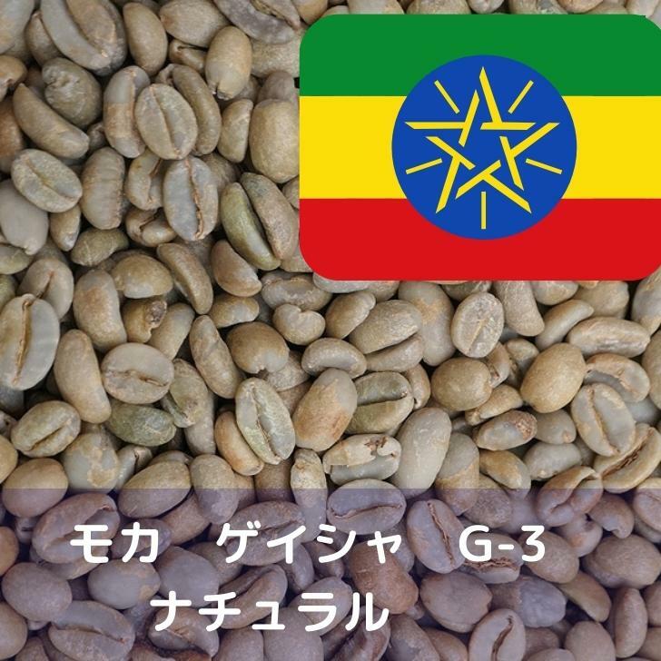 コーヒー生豆 モカ ゲイシャ G-3 ナチュラル 1kg 送料無料 コーヒー豆 自家焙煎 生豆 珈琲 未焙煎 自家焙煎用生豆 珈琲生豆 ギフト お中元 ドリップ あす楽