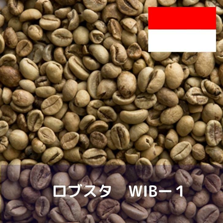 コーヒー生豆 ロブスタ WIBー1 10kg 送料無料 コーヒー豆 自家焙煎 ギフト お中元 ドリップ