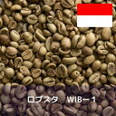 コーヒー生豆 ロブスタ WIBー1 1kg 送料無料 コーヒー豆 自家焙煎 ギフト お中元 ドリップ あす楽