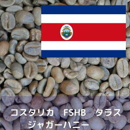 コーヒー生豆 コスタリカ FSHB タラス ジャガーハニー 10kg 送料無料 コーヒー豆 自家焙煎 ギフト お中元 ドリップ