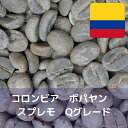コーヒー生豆 コロンビア ポパヤン スプレモ Qグレード 1kg 送料無料 コーヒー豆 自家焙煎 生豆 珈琲 未焙煎 自家焙煎用生豆 珈琲生豆 ギフト お中元 ドリップ(4)