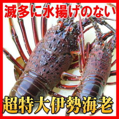 https://thumbnail.image.rakuten.co.jp/@0_mall/yamatou/cabinet/00045721/img56824808.jpg