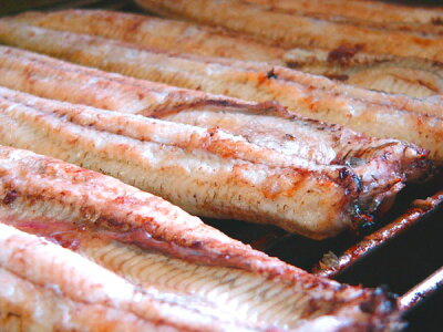 肉厚の特大うなぎ蒲焼1枚