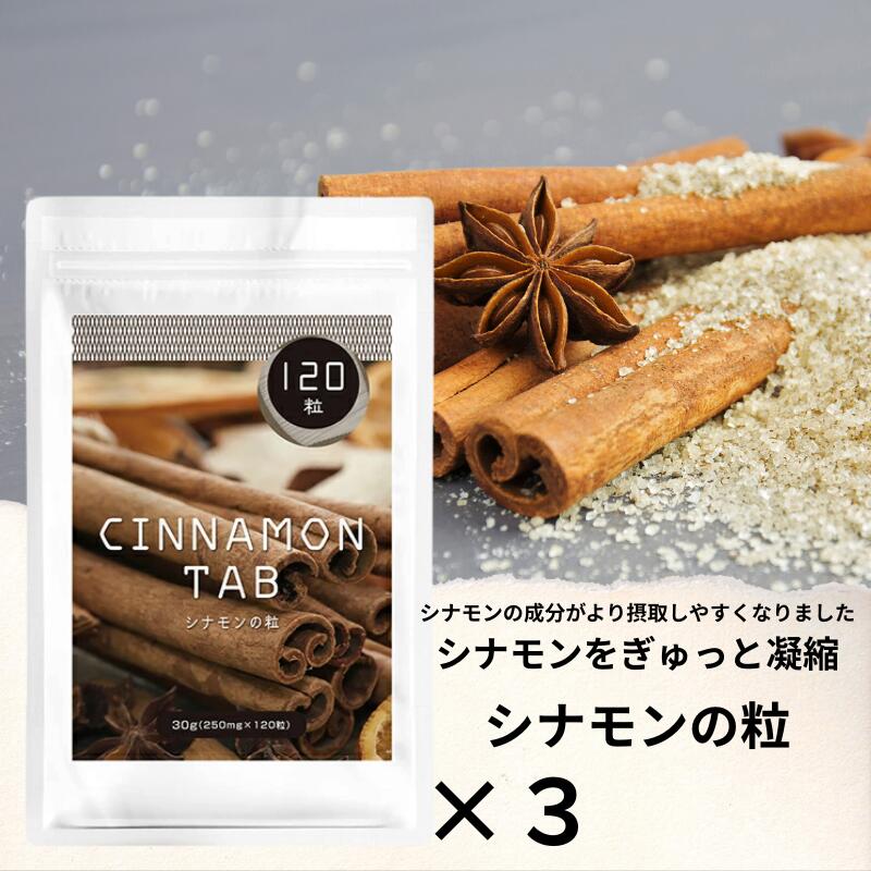 シナモン サプリメント シナモンサプリ シナモンの錠剤 120粒 3個 セット シナモンの粒 サプリメント サプリ シリンガリシノール タブレット 粉 シナモンパウダー 送料無料