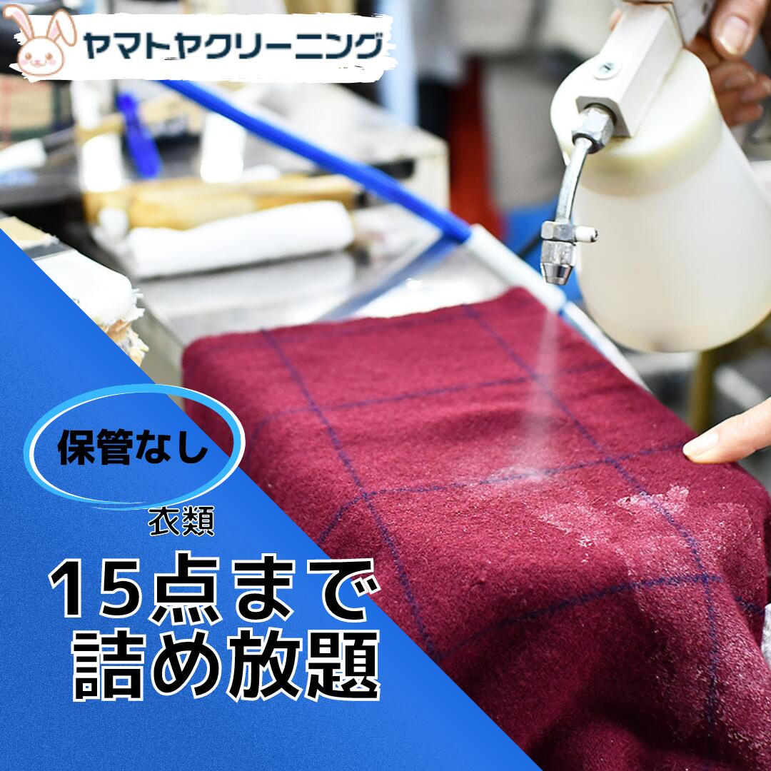 ●商品名 クリーニング 宅配 衣類15点 保管なし　 ●衣類クリーニングの納期 12月〜3月　15営業日以内にお届け 4月〜11月　30営業日以内にお届け ・保管をご希望の際は別の商品になります。 ・お急ぎの場合はご購入前にご相談ください。...