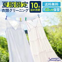 クリーニング 宅配 夏物限定 10点 まで 詰め放題 ハンガー仕上げ 保管付き 保管 送料無料 ワンピース シミ抜き無料 ズボン スーツ 安い 高品質 高級 配...