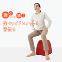 ワイドスクワットホッパー エクササイズ ワイドスクワット ストレッチ お腹 お尻 背中 太もも KANAMI 運動 簡単 トレーニング プレゼント セール PR...