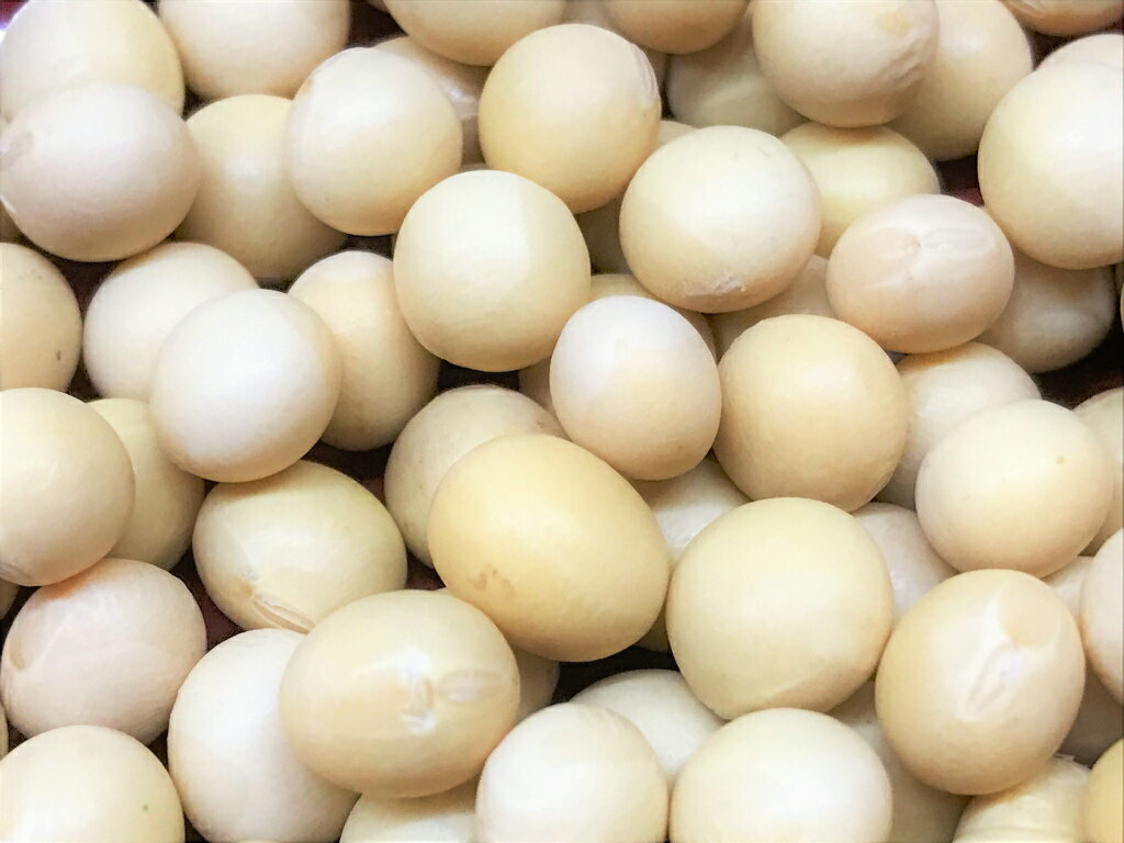 商品説明名称国産大豆　ユキホマレ 生産地北海道内容量400g×1個 賞味期限約1年保存方法冷蔵庫で保存してください。販売者合資会社　大和屋商店その名のとおり色白で煮豆にしてもきれいな色はそのままに上品な甘さも相まってまさに北海道産の誉大豆です。