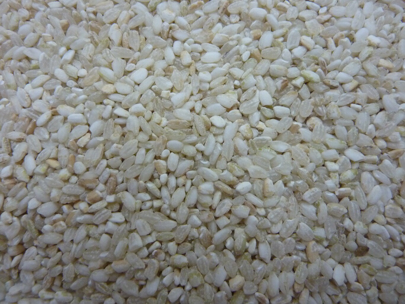 くず米5kg★うるち破米餌・肥料用★