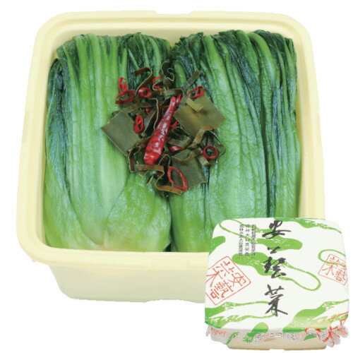 広島菜漬 安藝菜 樽詰5kg 広島菜 山豊 広島菜漬 広島菜漬け 漬物 漬け物 ごはんのおとも ご飯のおとも 広島 業務用