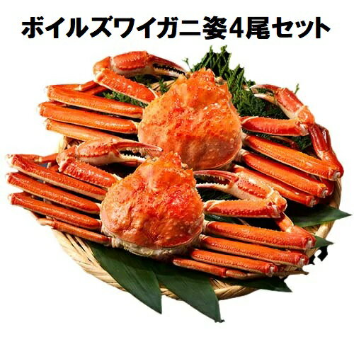 ボイルずわいがに姿2尾セット約1kg×2箱 総重量 約2kg [送料無料 カニ かに ズワイガニ ずわいがに 蟹 ］