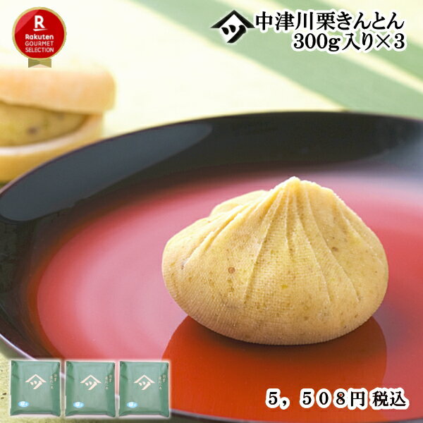 【2023年度産】中津川栗きんとん300g×3個【送料別】