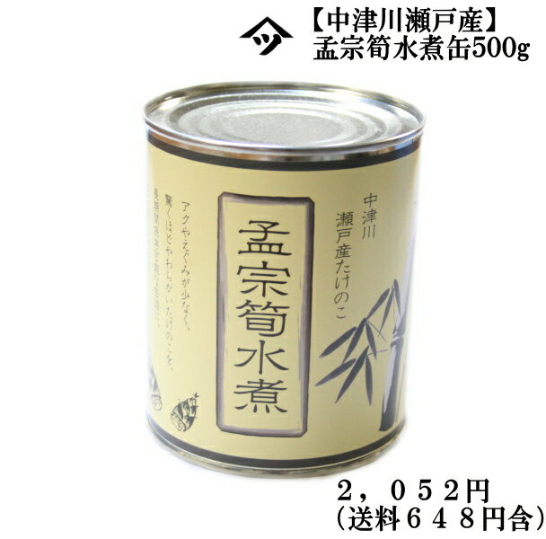 【送料込】たけのこ水煮缶（500g入