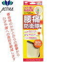 腰痛防衛隊 (246) 女性用 レディース 木原産業 ACTIKA アクティカ インソール 中敷 衝撃吸収 抗菌 防臭