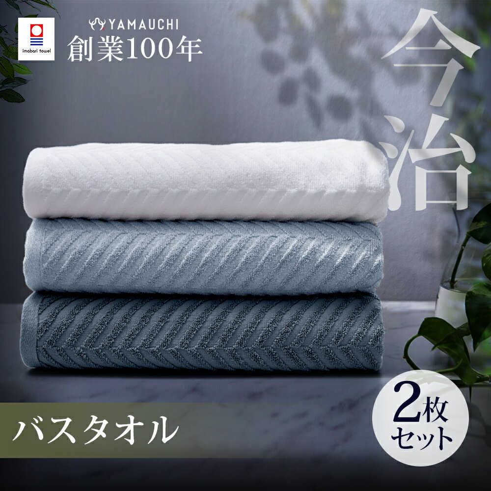 【最大66％OFF】バスタオル 今治 2枚セット 薄手 速乾 60×120cm 今治タオル 日本製 今治タオル まとめ買い 無地 あぜ織 ホテルタオル 高品質 タオルセット プレゼント 贈り物【azebt】