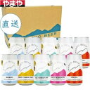 【送料無料】【メーカー直送】六甲ビール 5種10缶セット【カタログ掲載品】【他商品同時購入不可】
