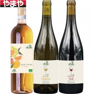 【送料無料】エシク ドリンクス 3本セット【カタログ掲載品】【他商品同時購入不可】