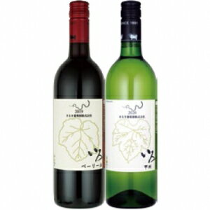 【送料無料】まるき葡萄酒 いろ赤白セット【カタログ掲載品】【他商品同時購入不可】