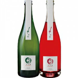 【送料無料】丹波ワイン てぐみスパークリング 2本セット【カタログ掲載品】【他商品同時購入不可】【代金引換決済不可】のサムネイル