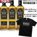 ブッシュミルズ ブッシュミルズ ブラックブッシュ 700ml 40度【5,000円以上送料無料】