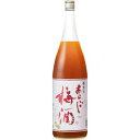 梅乃宿 あらごし梅酒 1800ml 12度 6本入り【5,000円以上送料無料】【ケース品】