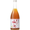梅乃宿 あらごし梅酒 720ml 12度【5,000円以上送料無料】