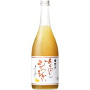 梅乃宿 あらごしジンジャー酒 720ml 15度 12本入り【5,000円以上送料無料】【ケース品】