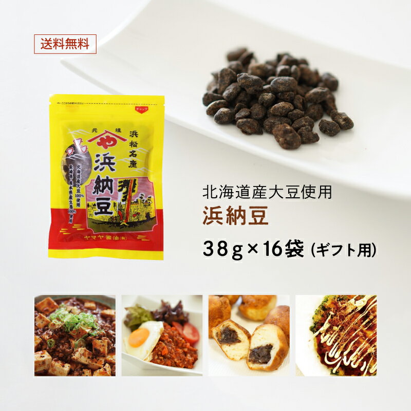 無添加大豆食品【ギフト用】浜納豆（食べきり小サイズ） 38g 16袋入 発酵調味料 (化学調味料不使用) どうする家康 NHK 大河ドラマ 徳川家康 歴史 塩辛納豆 浜松城 大河ドラマ館 取扱商品 国産豆鼓(トウチ) 保存料不使用 北海道産大豆