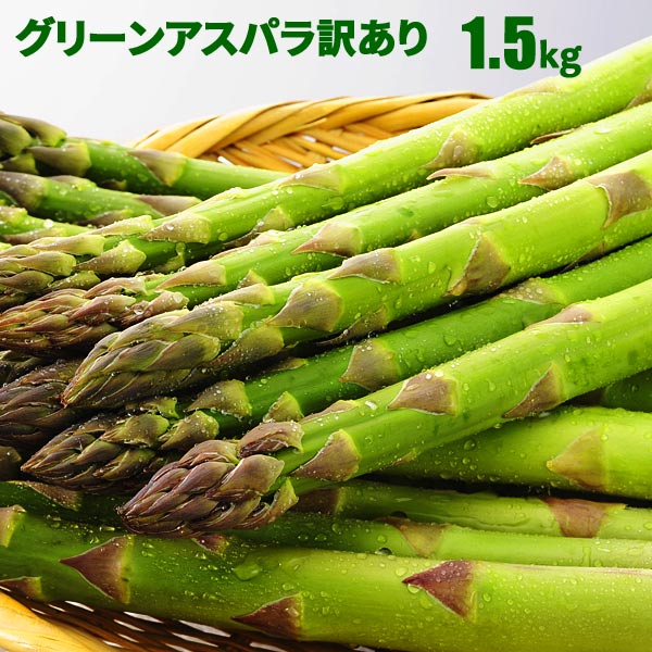 【予約】 北海道産 アスパラガス グリーンアスパラガス 1.5kg S～2L混 訳ありアスパラ 朝採り グリーンアスパラ 産地…