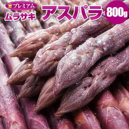 【予約】 北海道産 紫アスパラガス 800g S～2L混 北海道 紫アスパラガス 希少な紫アスパラ 産地直送 産直 春 旬 北海道 紫 アスパラ 露地