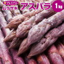 紫アスパラガス 1kg（S〜2L混） 送料無料 北海道 紫アスパラガス ギフト 希少な紫アスパラ 贈り物 贈答 高級 高級ギフト 旬 産地直送 産直 春 紫 アスパラ お取り寄せ 食べ物 食品 贈物 贈答品 通販 【予約/お届け指定日不可】