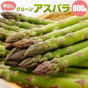 【予約】 アスパラ 早出し グリーンアスパラガス 800g L/2L混 ハウス栽培 産地直送 産直 春 旬 北海道 アスパラ アスパラガス 露地 お取り寄せ