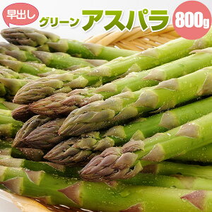 【予約】 アスパラ 早出し グリーンアスパラガス 800g（L／2L混） ハウス栽培 ギフト 贈り物 高級ギフト 春 旬 産地直送 産直 北海道 アスパラガス 太 食べ物 食品 贈物 贈答品 北海道産 母の日