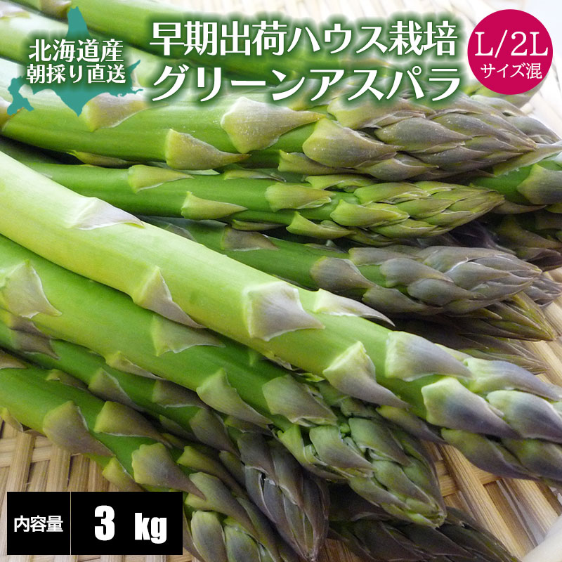 【予約】 アスパラ 早出し グリーンアスパラガス 3kg L/2L混 ハウス栽培 産地直送 産直 春 旬 北海道 アスパラ アスパラガス 露地