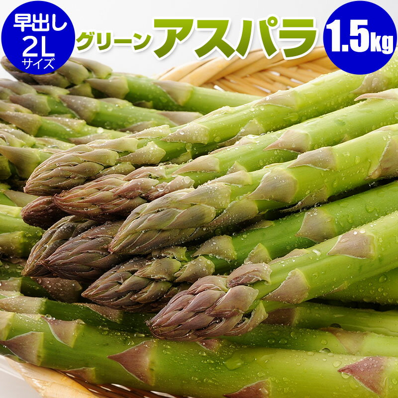 【予約】 アスパラ 早出し グリーンアスパラガス　2Lサイズ 1.5kg ハウス栽培 産地直送 産直 春 旬 北海道 アスパラ アスパラガス 露地