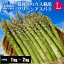 【予約】 北海道産 アスパラ ~ハウス栽培~ 夏採り グリーンアスパラガス 1kg/1.5kg/2kg Lサイズ 北海道 アスパラ 高級 高級ギフト 夏 旬 【7月中旬より発送予定】