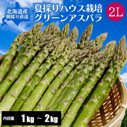 【予約】 北海道産 アスパラ ~ハウス栽培~ 夏採り グリーンアスパラガス 1kg/1.5kg/2kg 2Lサイズ 北海道 アスパラ 高級 高級ギフト 夏 旬 【7月中旬より発送予定】 【予約】 北海道産 アスパラ ~ハウス栽培~ 夏採り グリーンアスパラガス 1kg/1.5kg/2kg 2Lサイズ 北海道 アスパラ 高級 高級ギフト 夏 旬 【7月中旬より発送予定】