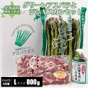 【2026年度収穫 予約】 北海道産 グリーンアスパラガス 800g Lサイズ とジンギスカン400gセット 3〜4人前 産地直送 産直 春 旬 北海道 アスパ...