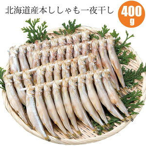 北海道 本ししゃも 一夜干し 400g（ 本ししゃも メス40尾） ししゃも 一夜干しセット 海鮮ギフト 内祝 お祝 お返し お礼 誕生祝 誕生日 贈り物 賞品 ギフト お取り寄せ お歳暮 御歳暮 年末年始 お正月 寒中見舞 御年賀