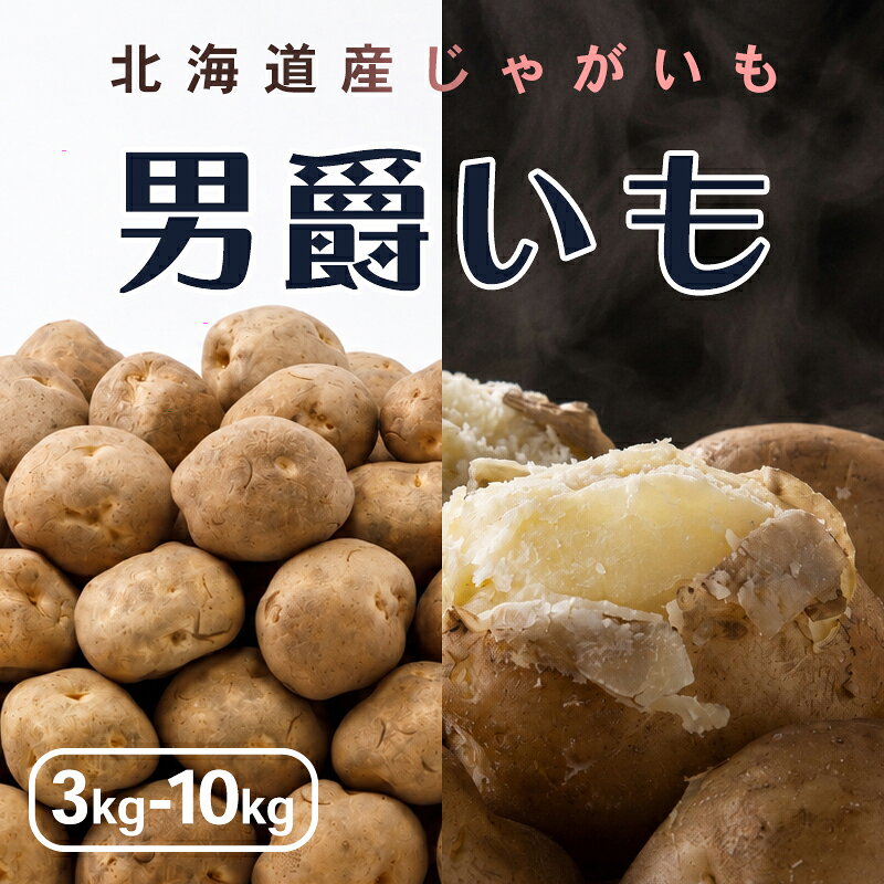 【予約】【 新じゃがいも 】 男爵 LM/L/2L混 3kg/5kg/10kg ジャガイモ 男爵いも 男爵芋 じゃがいも 北海道野菜 北海道産野菜 野菜ギフト ポテト　10月上旬より予約順発送予定