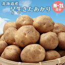 【予約】 じゃがいも 早生 きたあかり 2kg/3kg/5kg 北海道 ジャガイモ キタアカリ 北あかり 早出し 北海道産野菜 野菜ギフト ポテト 8月上旬より...