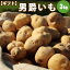 新じゃがいも 男爵いも L/2L混 3kg 【送料別】/10月上旬予約順発送/ ギフトに 北海道産 北海道 じゃがいも ジャガイモ 男爵いも 男爵 男爵イモ 男爵芋 内祝い 御祝い 御礼 誕生日祝 ギフト プレゼント 贈り物 贈答用 お返し お取り寄せ 景品 通販