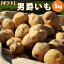 新じゃがいも 男爵いも L/2L混 5kg /10月上旬予約順発送/ ギフトに 北海道産 北海道 じゃがいも ジャガイモ 送料無料 男爵いも 男爵 男爵イモ 男爵芋 内祝い 御祝い 御礼 誕生日祝 ギフト プレゼント 贈り物 贈答用 お返し お取り寄せ 景品 通販